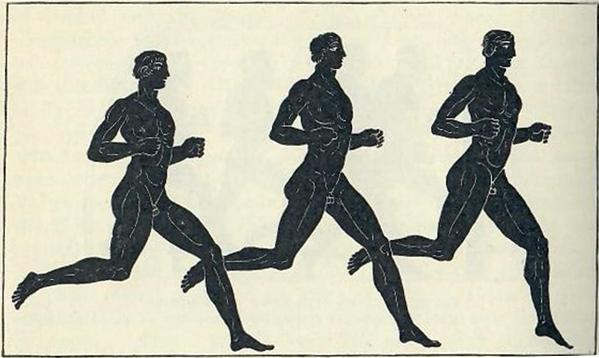 Introduction to Exercise Science Feature Image
