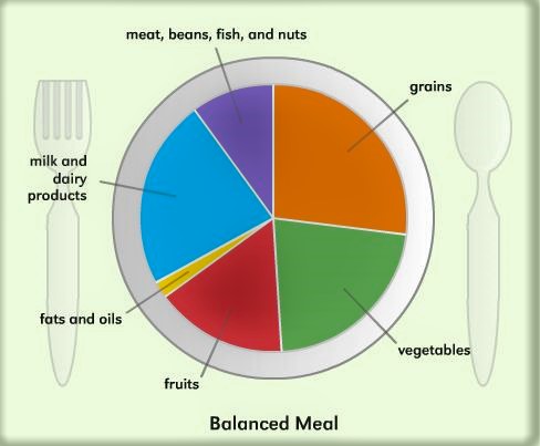 Macronutrients: The Building Blocks of a Healthy Diet Feature Image