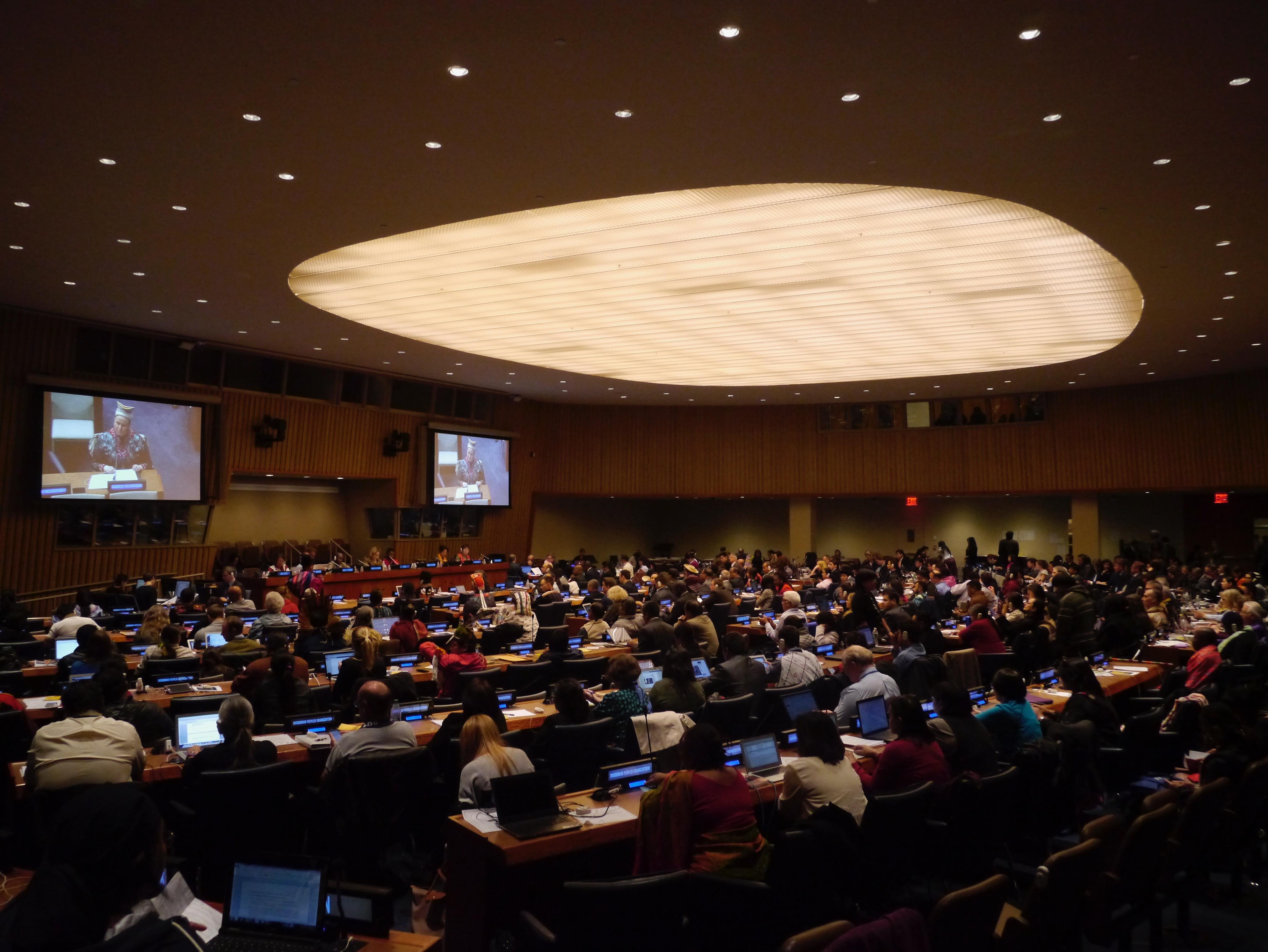 Indigenous Peoples' Rights Feature Image