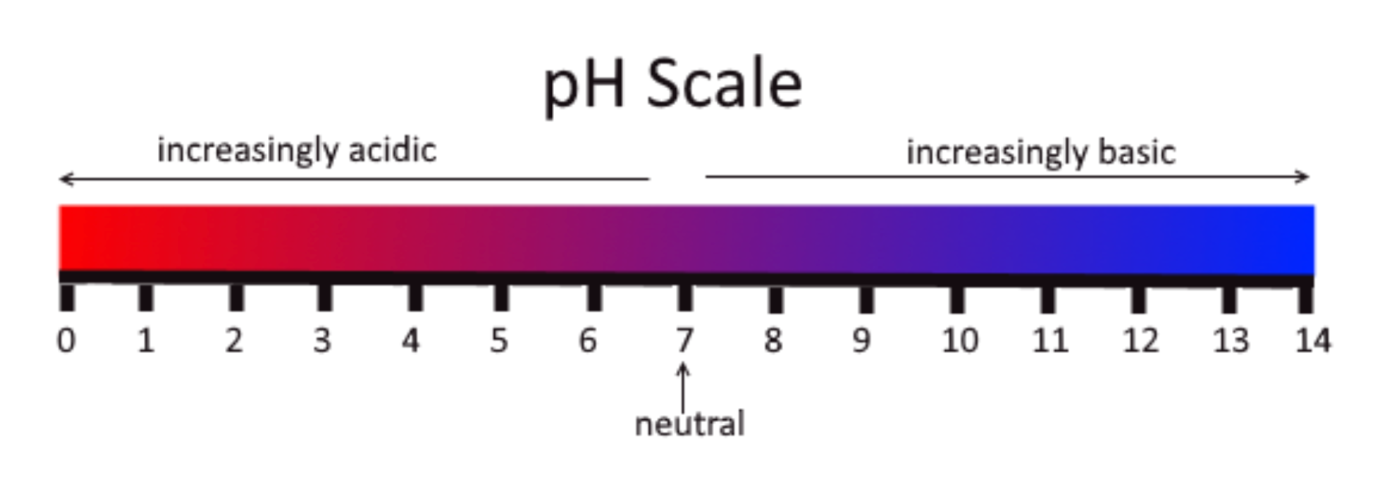Ingredient Chemistry Feature Image