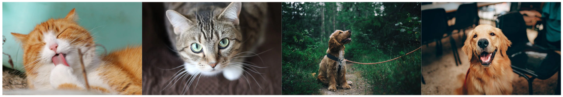 Machine Learning Feature Image