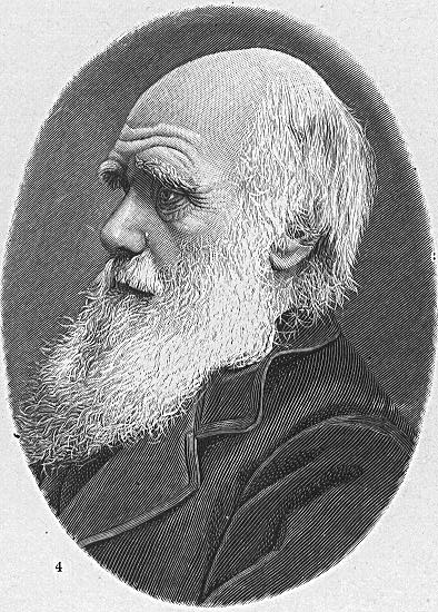 Evolution Feature Image