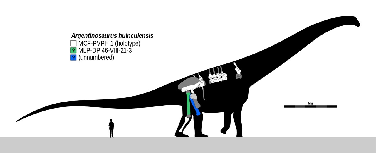 Herbivorous Dinosaurs Feature Image