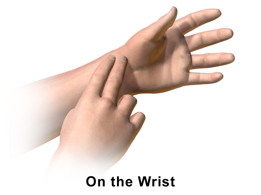 How to Perform CPR: A Step-by-Step Guide Feature Image