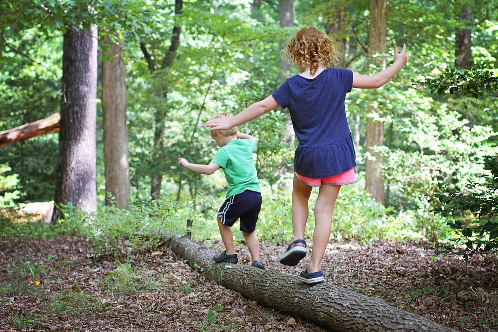 Forest School Feature Image