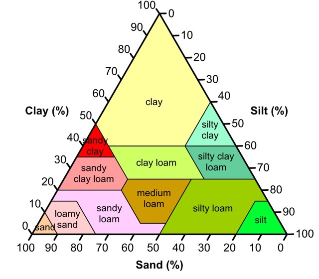 Biogeography Feature Image