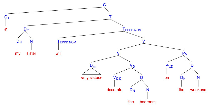 Morphology and Syntax Feature Image