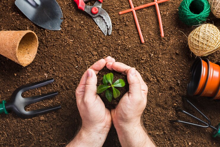 Plant Care Feature Image