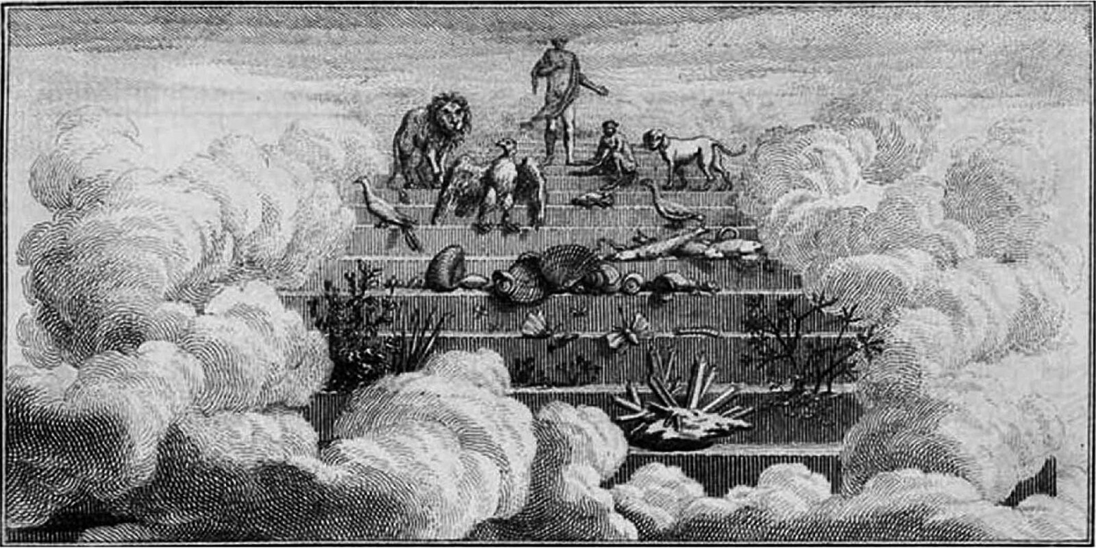 Scientific Consensus Feature Image