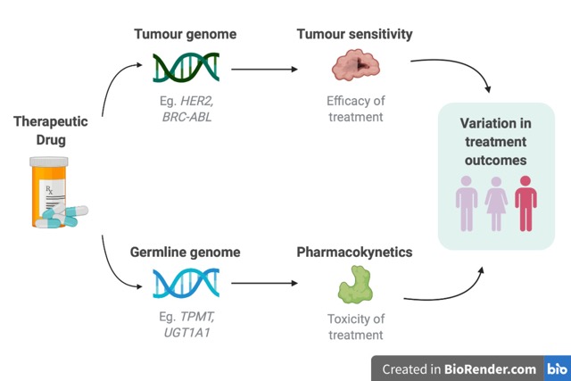 Genetic Testing: Techniques and Applications Feature Image