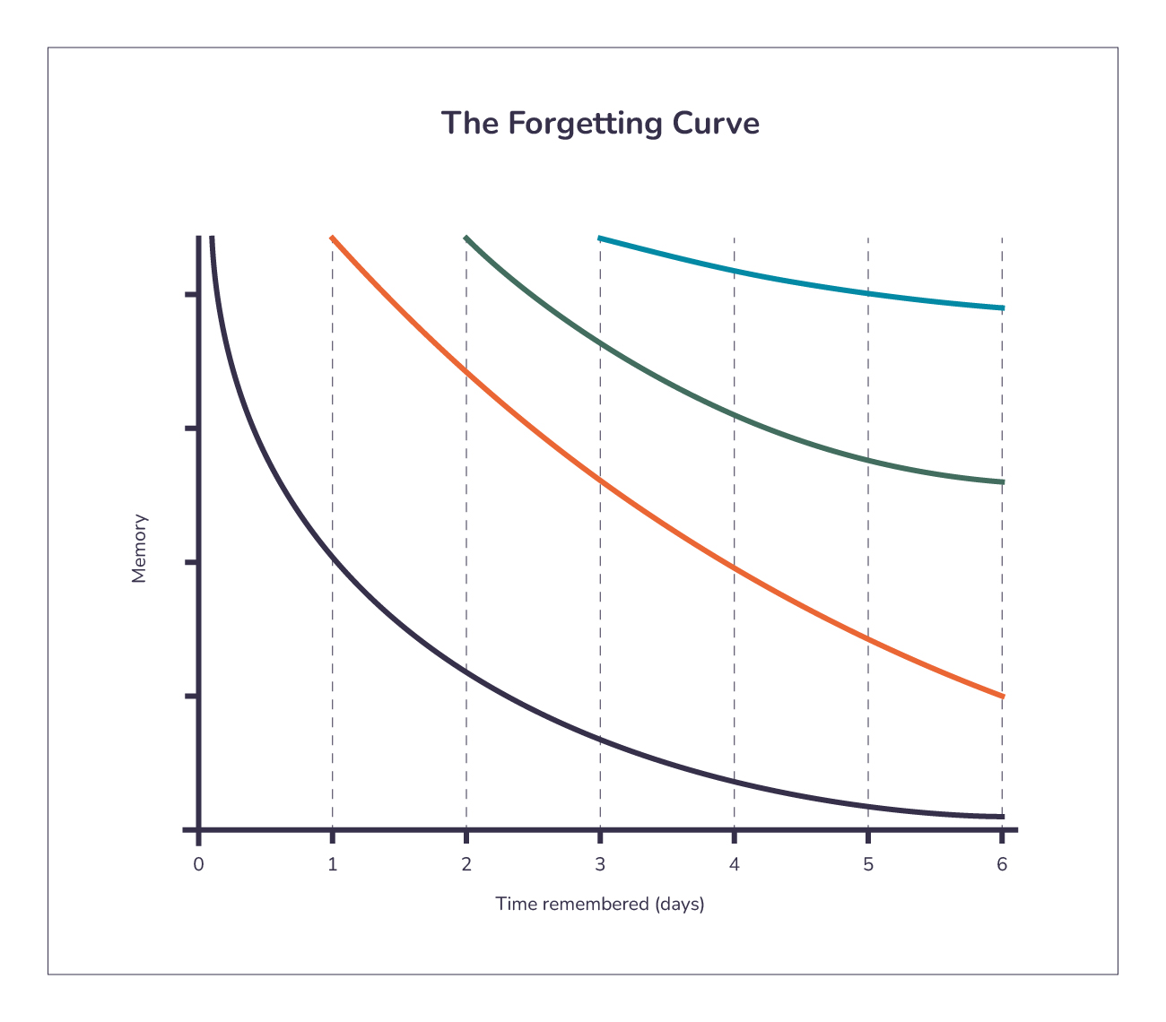 Learning Strategies – Managing Your Learning Through Forgetting and Repetition Feature Image