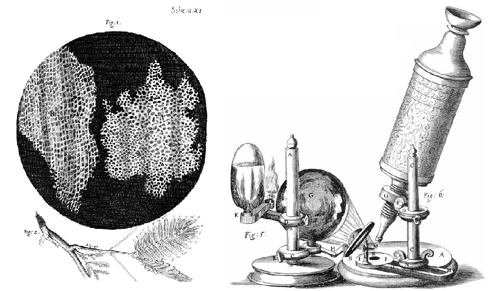 Cell Theory Feature Image