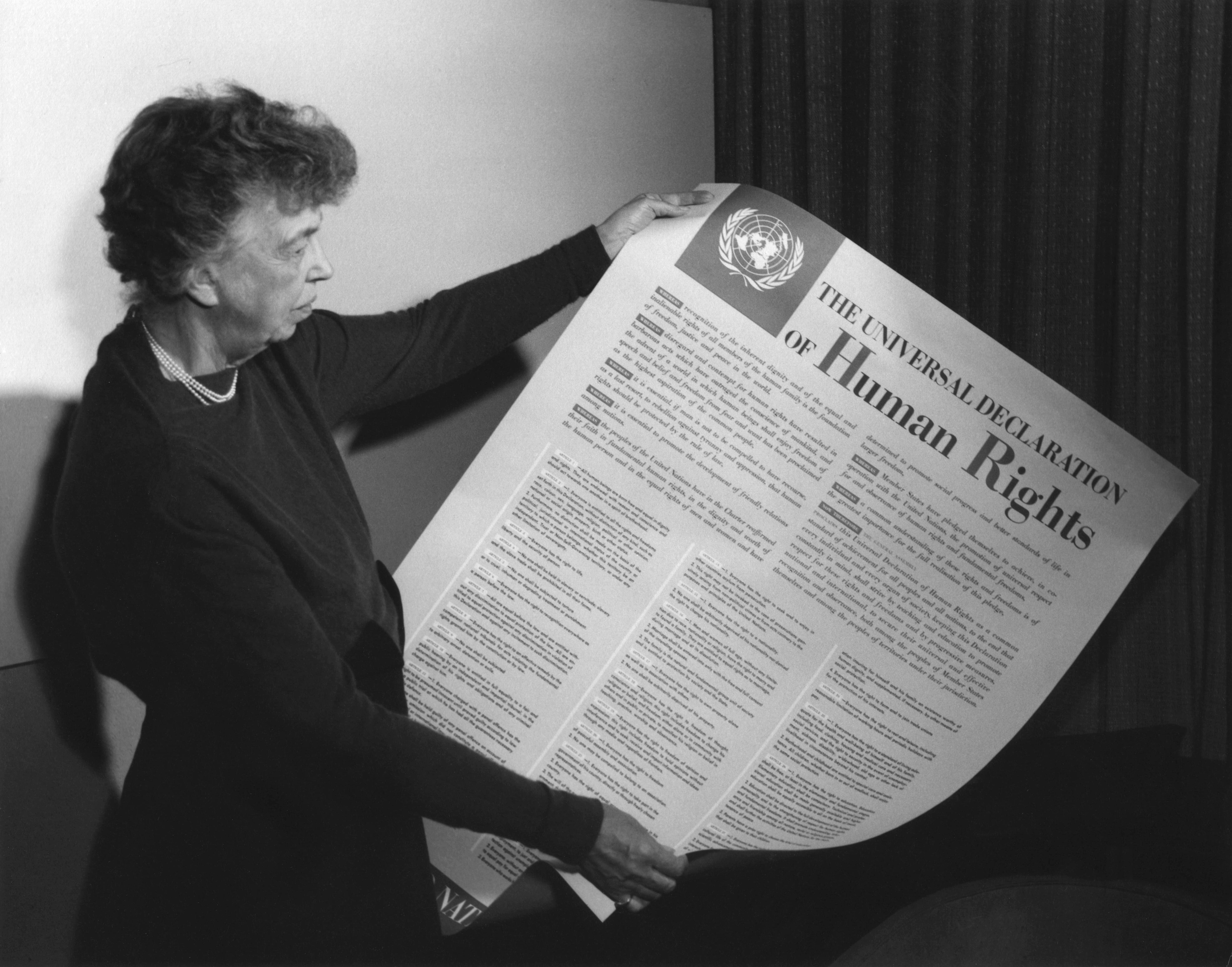 Human Rights Law Feature Image
