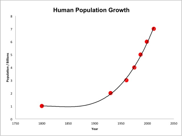 Population Ecology Feature Image