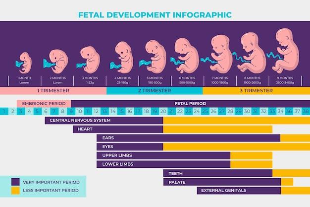 Physical and Motor Development Feature Image