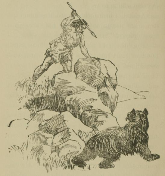 An Evolutionary Perspective Feature Image