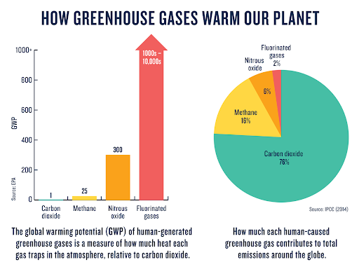 All About Greenhouse Gasses Feature Image