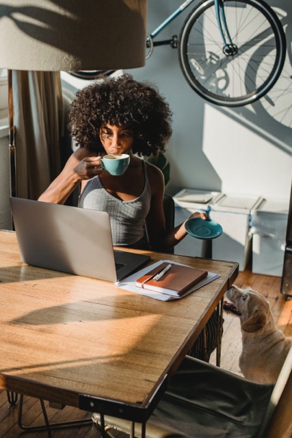 The Anatomy of a Habit: Cue, Routine, and Reward Feature Image