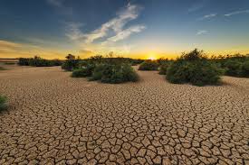 The Effects of Climate Change Feature Image