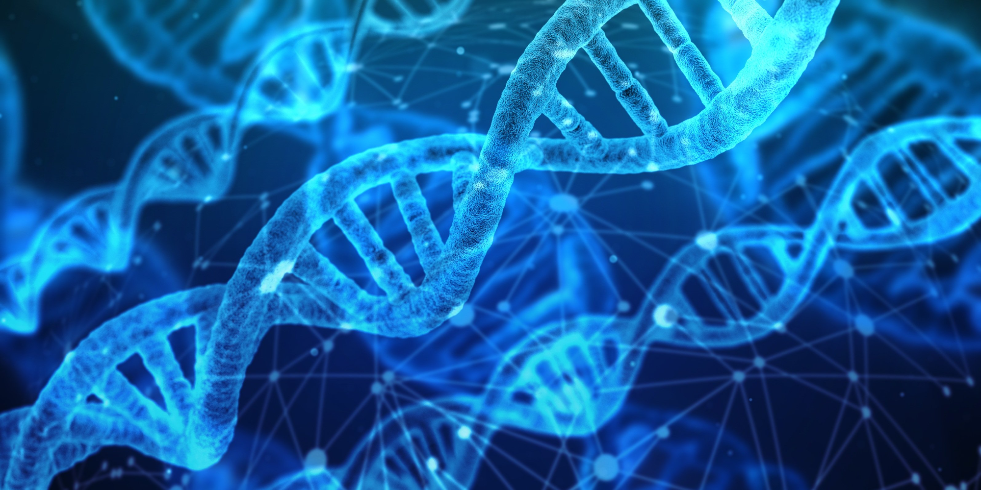 Gene Theory Feature Image