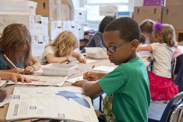 Democratic Schools Feature Image