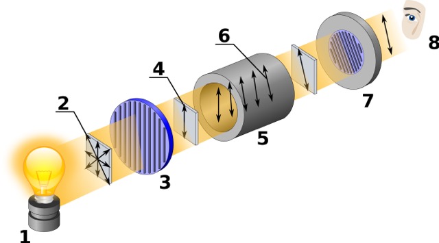 Light and Optics Feature Image