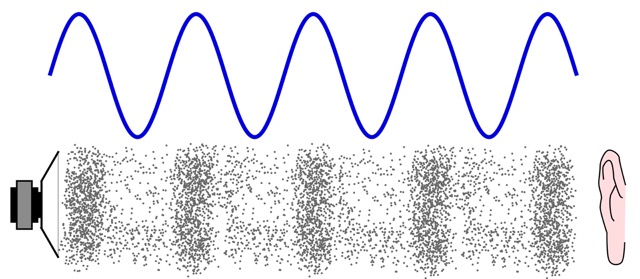 Waves and Sound Feature Image