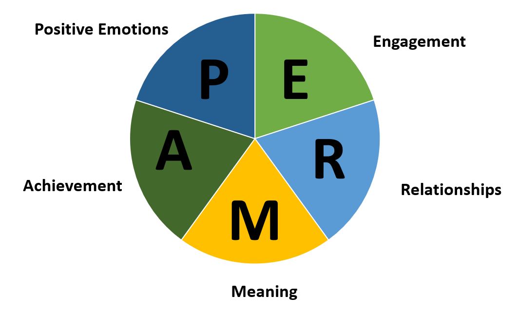 Positive Emotions and Living the Good Life Feature Image