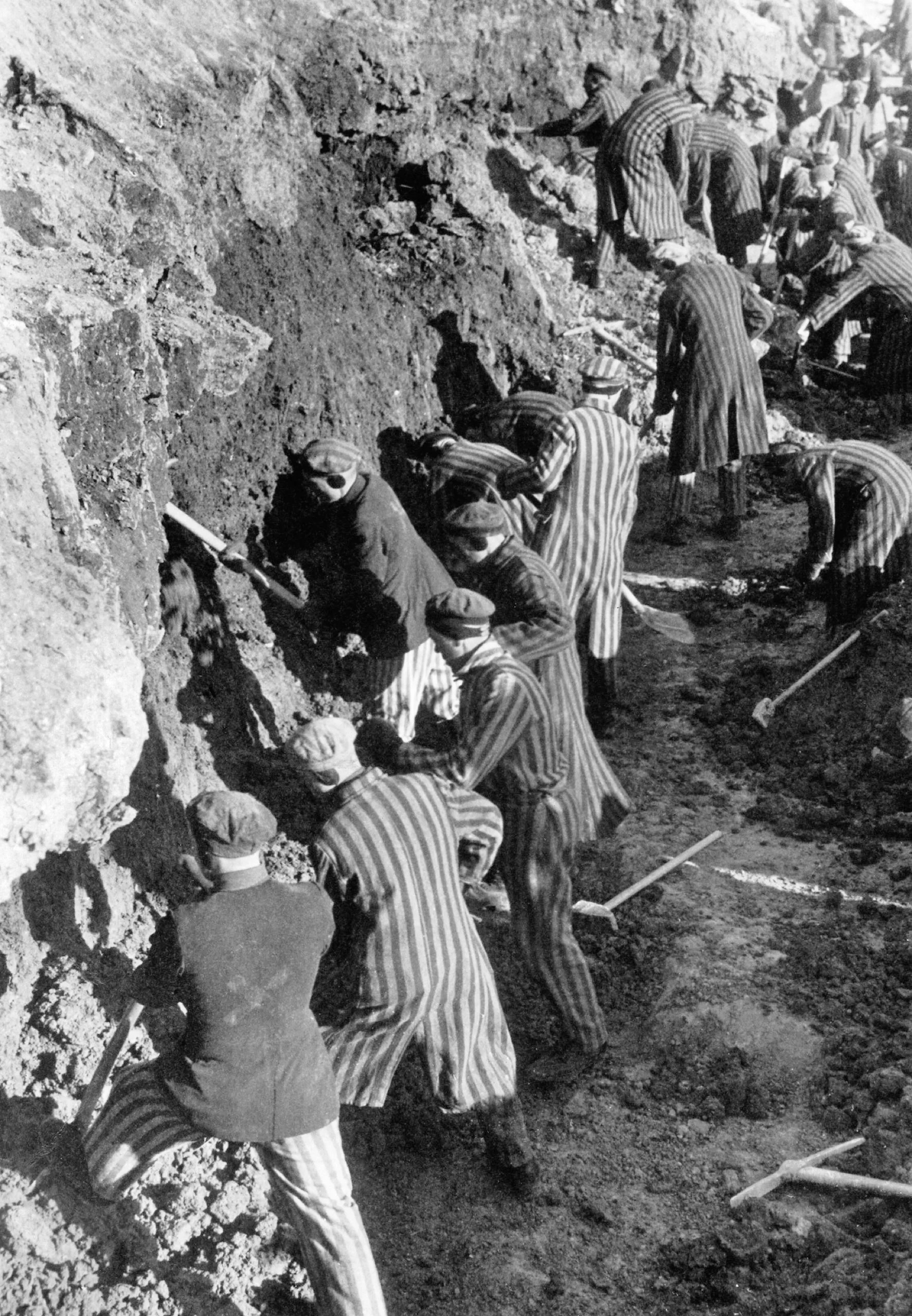 The Holocaust Feature Image