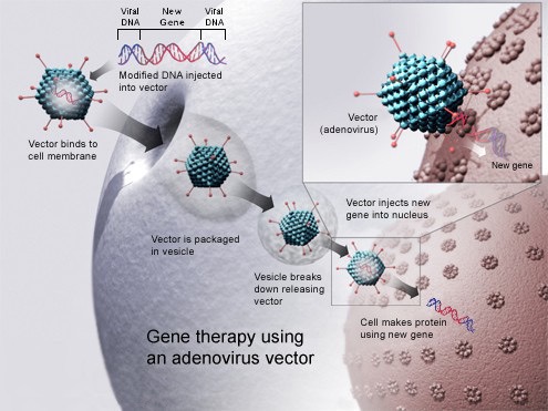 The Future of Genetics Feature Image