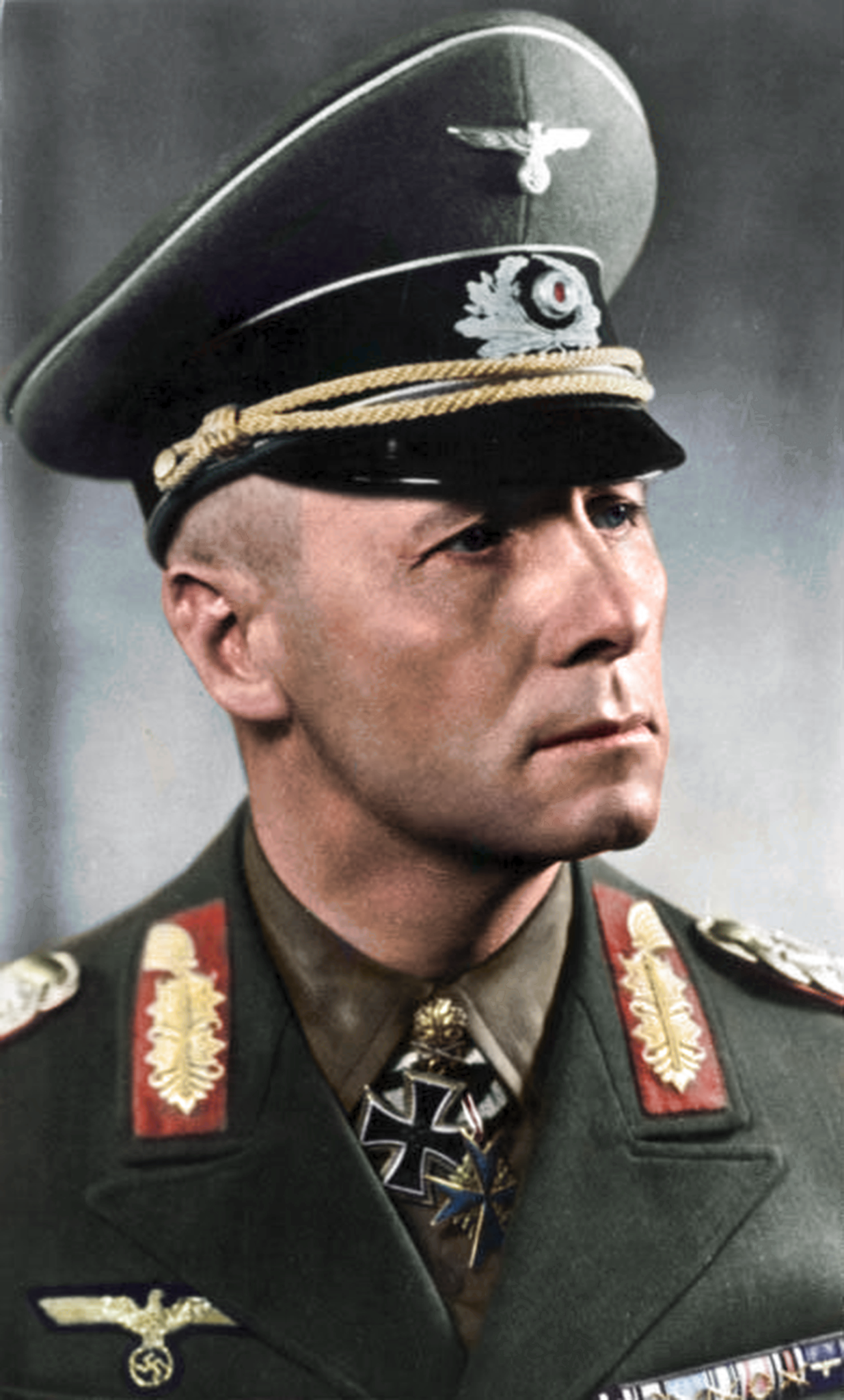The War in North Africa Feature Image