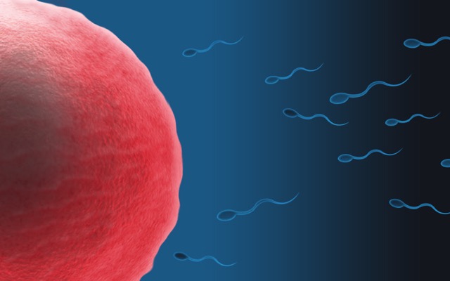 Genetic Mutations: Causes and Consequences Feature Image
