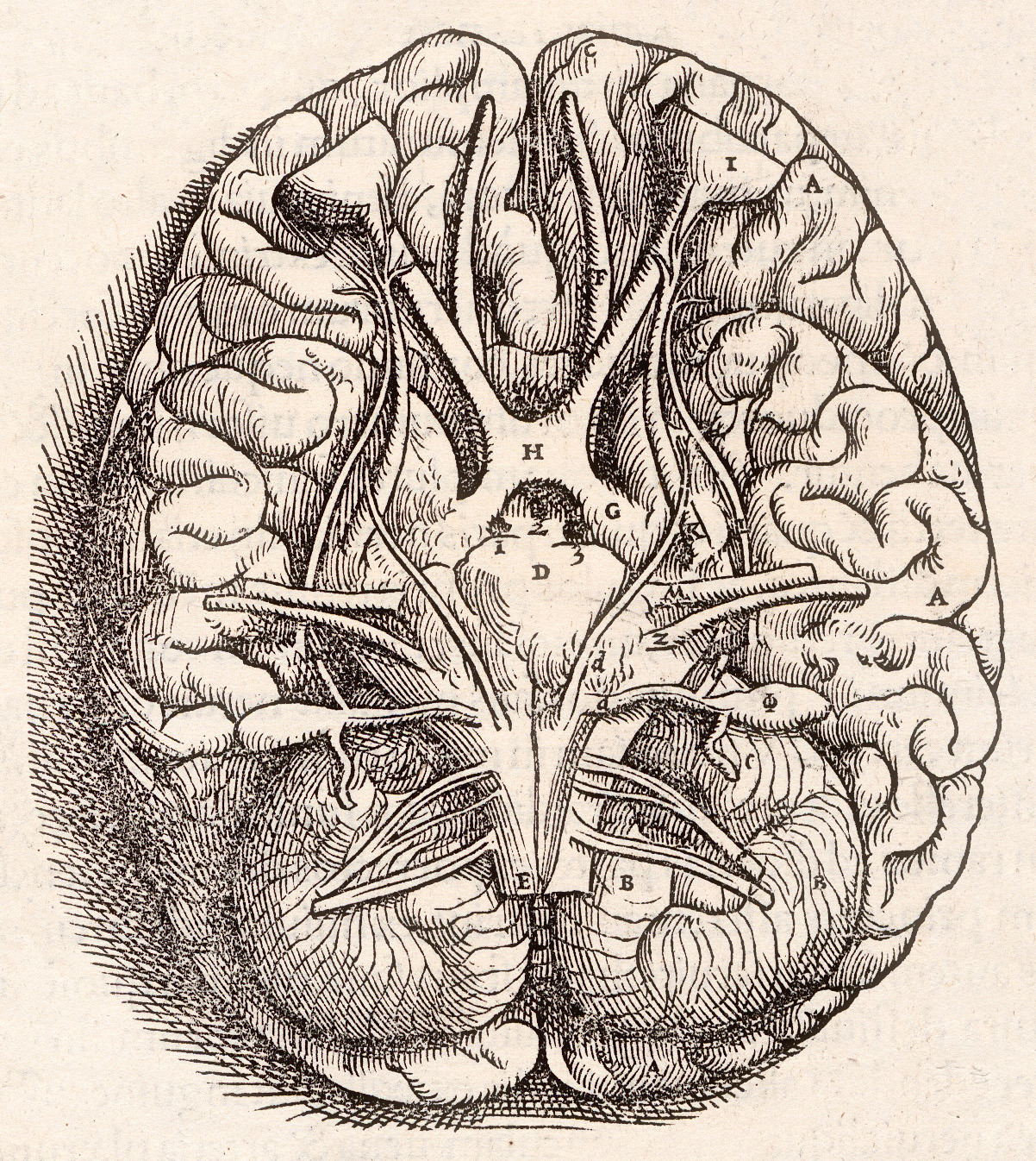 The First Principles of Learning Feature Image