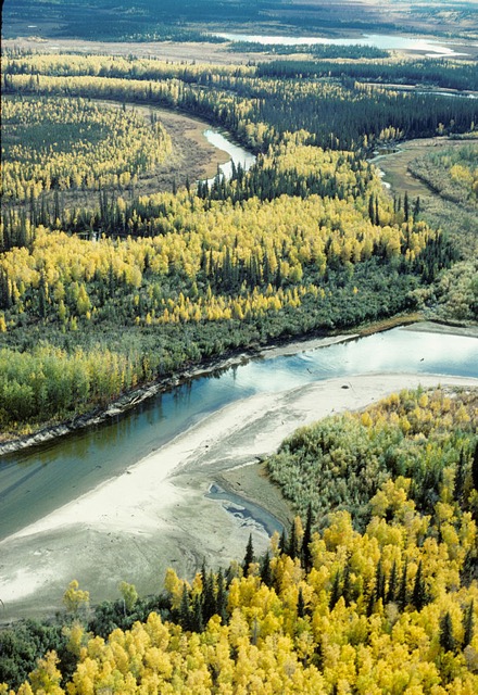 Landscape Ecology Feature Image