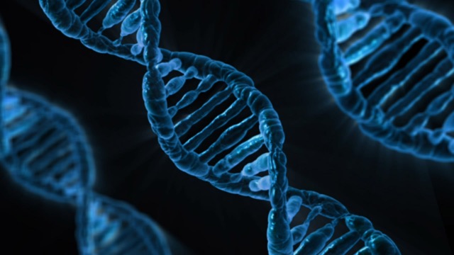 Introduction to Genetics Feature Image