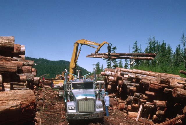 Applied Ecology Feature Image
