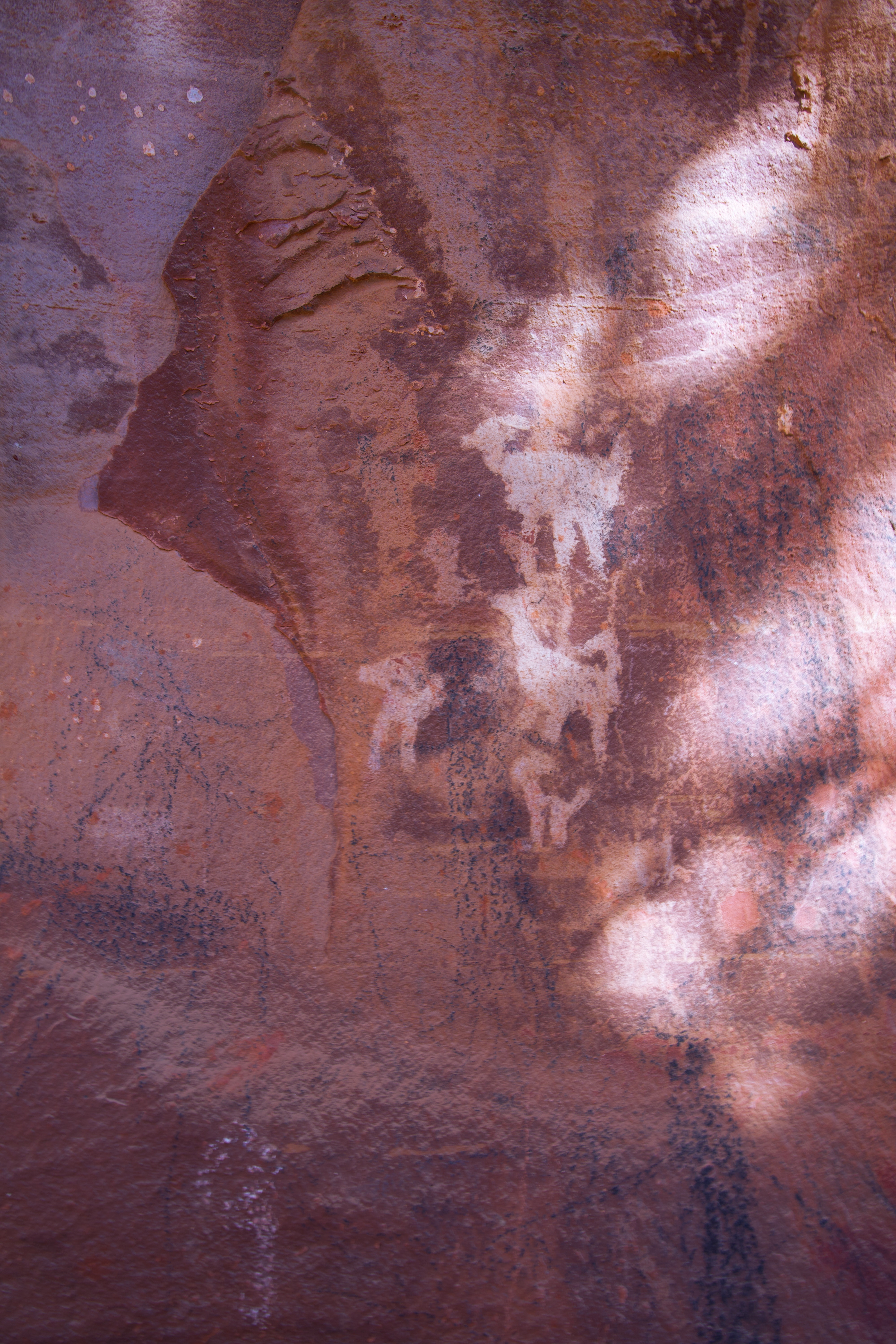 Spiritual and Religious Use Feature Image