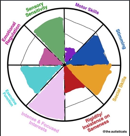 The Autism Spectrum Feature Image